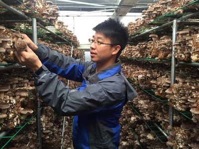 产业服务与技术推广服务 驱动现代产业升级的双引擎