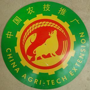 深耕田野，科技兴农——记灵山县沙坪镇农业技术推广站服务队