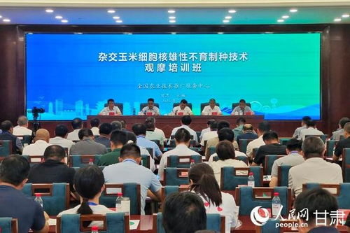 杂交玉米细胞核雄性不育制种技术观摩培训会在甘肃张掖成功举办，助力技术推广与服务提升